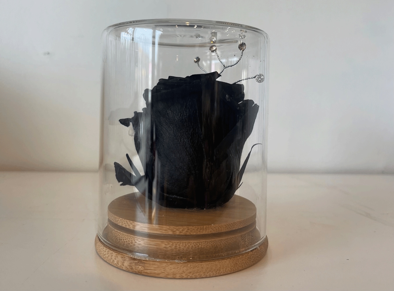 Black Eternal Rose